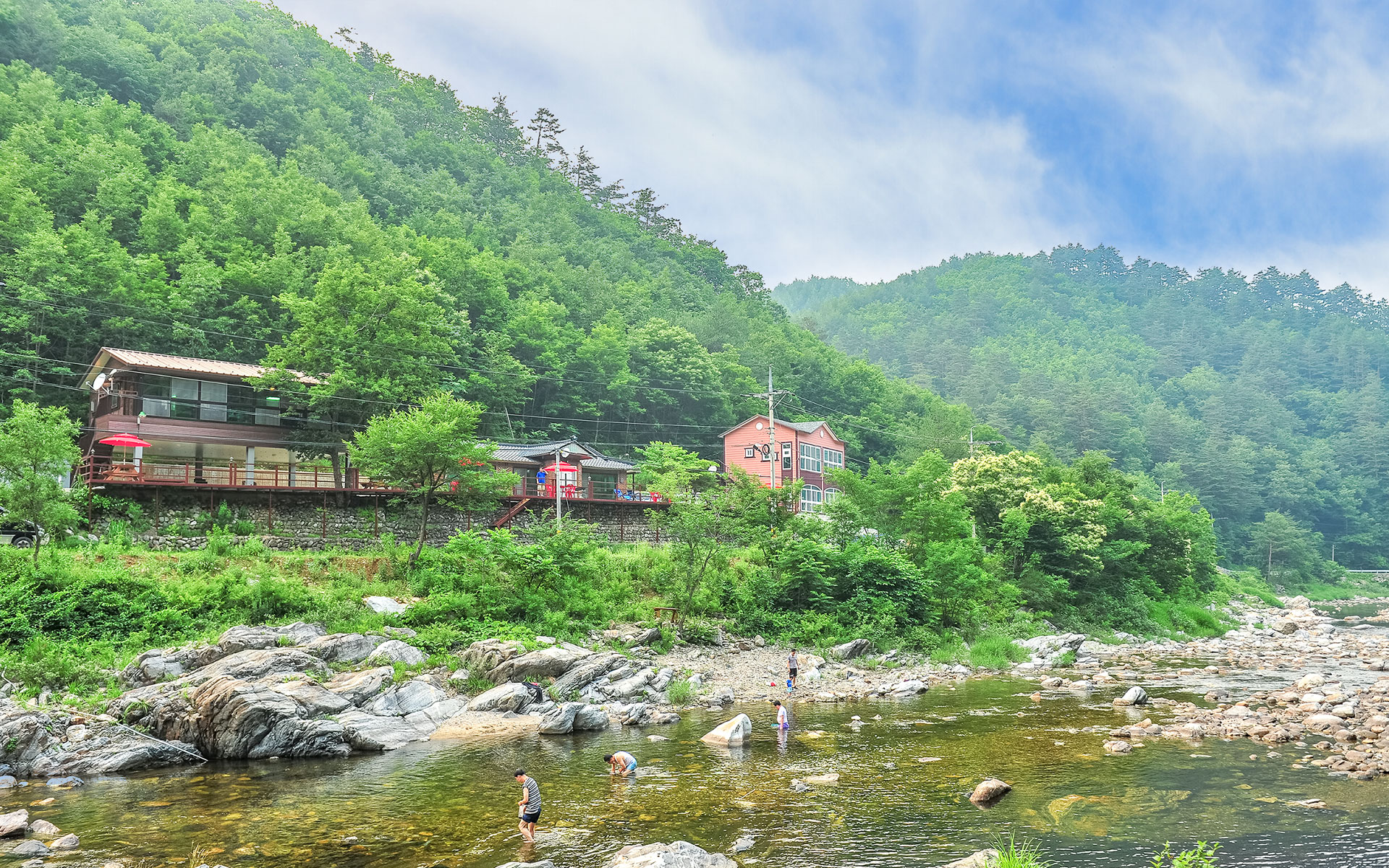 배경