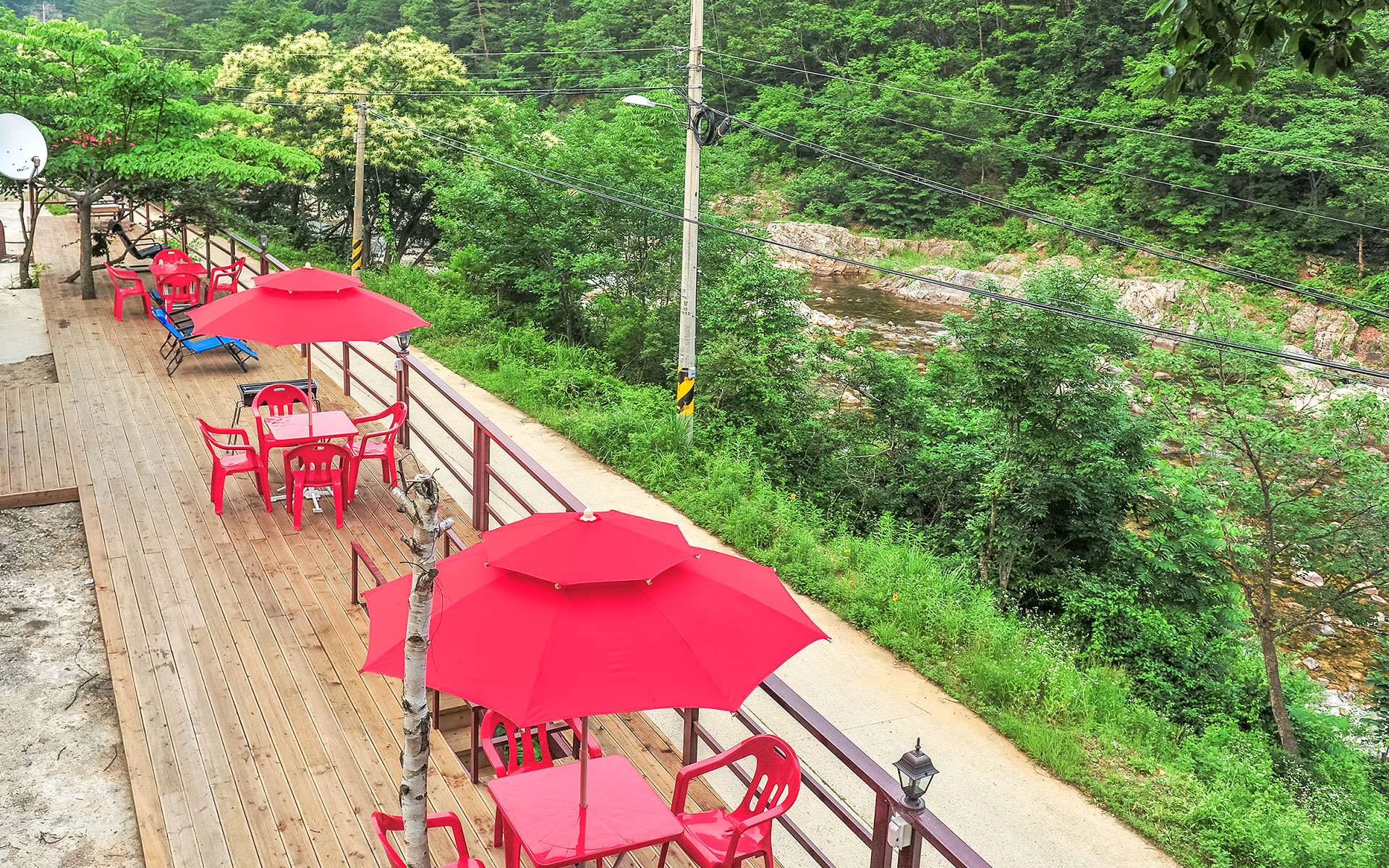 배경