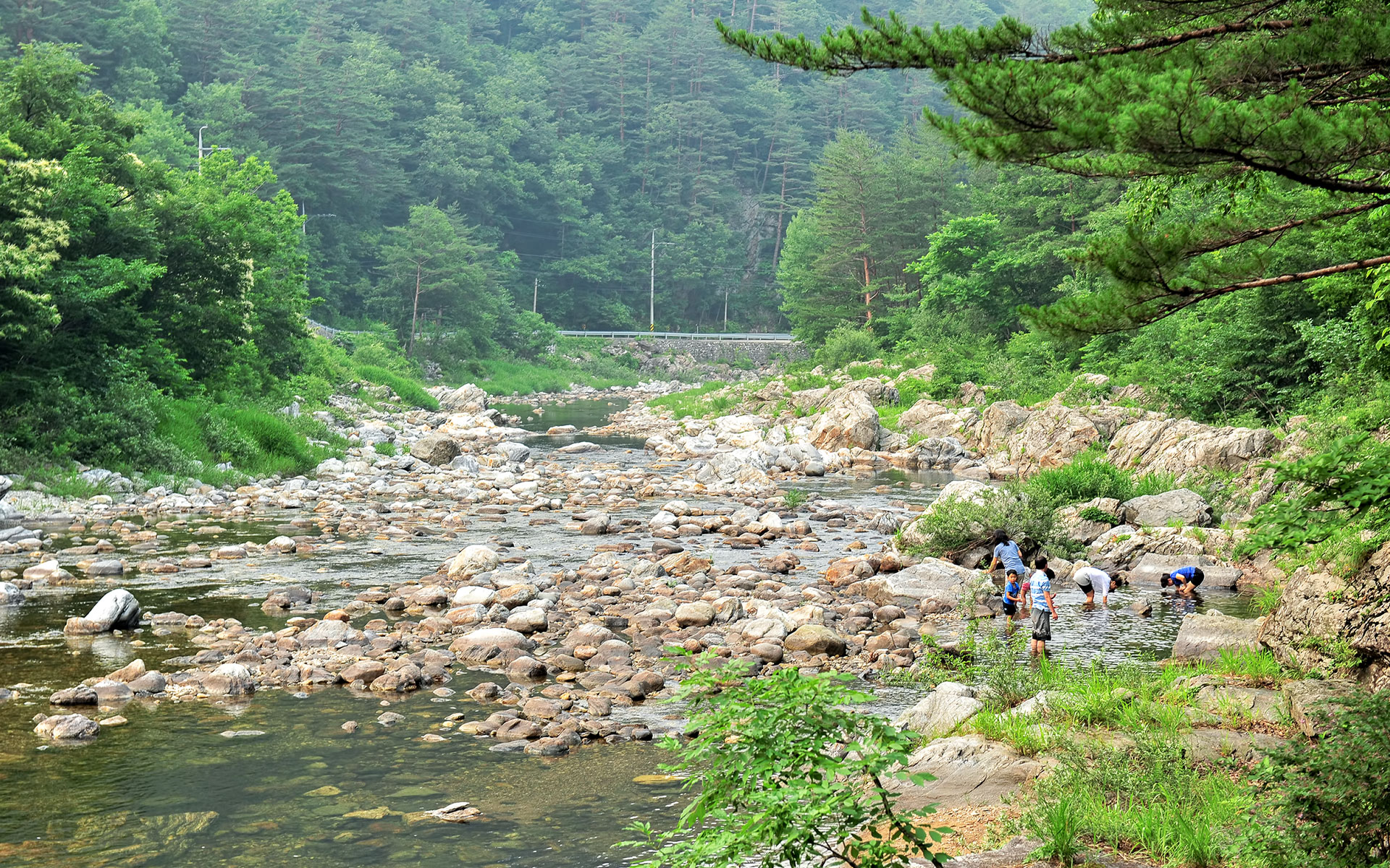 산책로